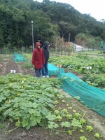 20100215Farm Visit17.jpg